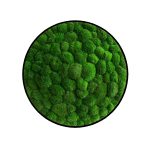 Machový obraz kruh Bolmoss Forest Green