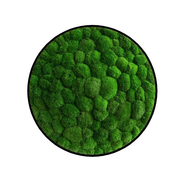 Machový obraz kruh Bolmoss Forest Green