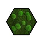 black frame light green lichen – Copy – Copy