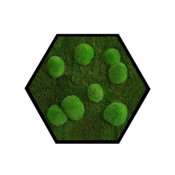 Machový hexagon Flatmoss Bolmoss