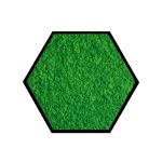 black frame forest green lichen – Copy
