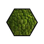 black frame light green – Copy