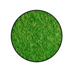 Machový obraz kruh Lišajník Light Green